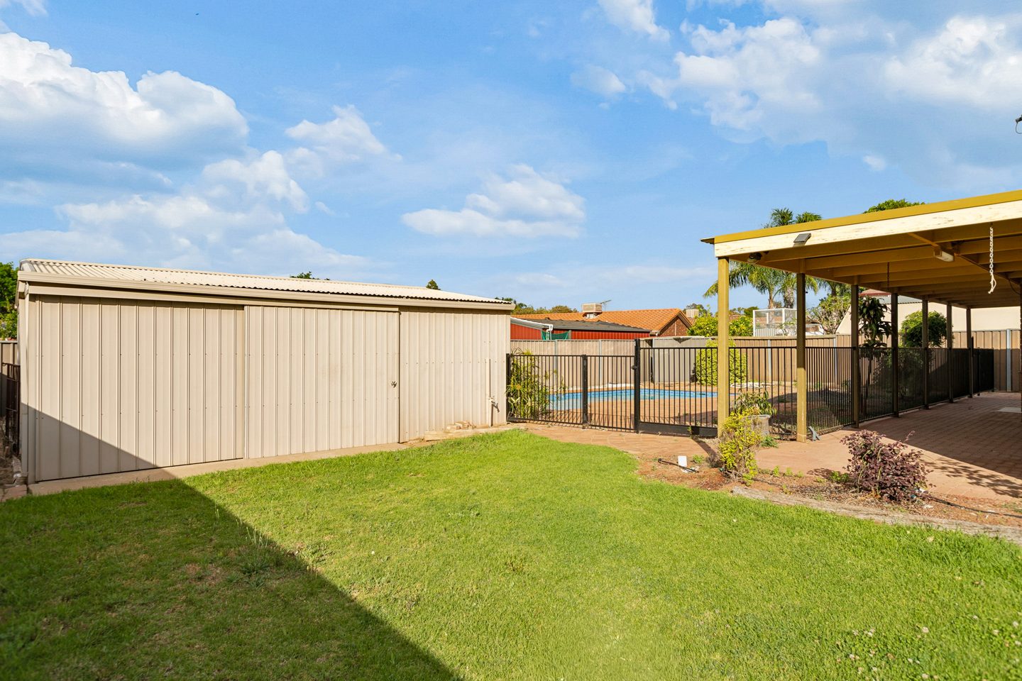 Garden shed and lawn